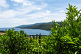 Dsc09909